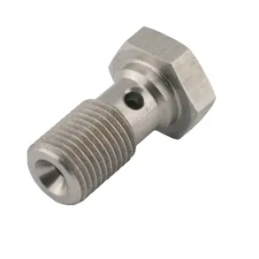 Banjo bolt M10x1,25 rustfri Lngde 24mm