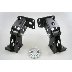 Motoroph�ng BMW E36 / E46 - Ford Barra