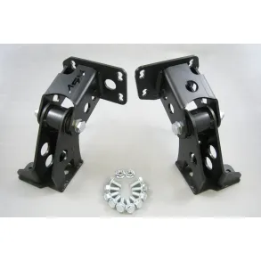 Motoroph�ng BMW E36 / E46 - Ford Barra