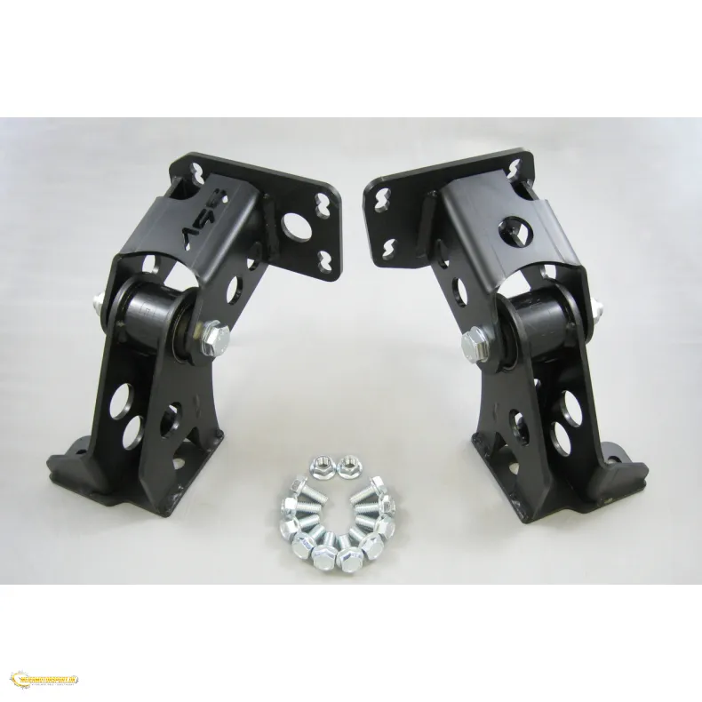 Motoroph�ng BMW E36 / E46 - Ford Barra