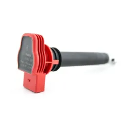 Bosch motorsport VAG tndspole (lang)