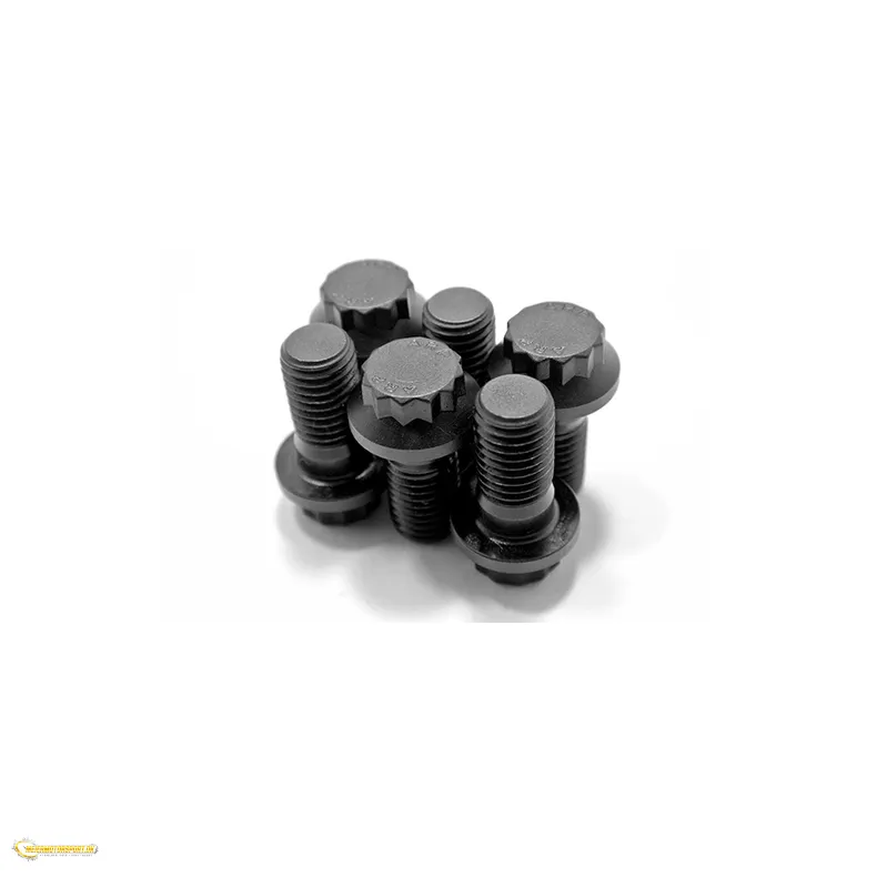 Tenaci Flywheel bolts BMW M60 / M62 (9pcs)
