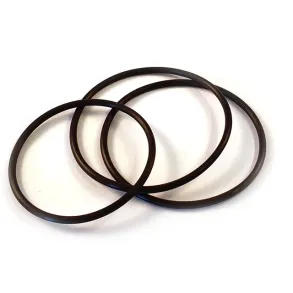 O-ringssats til filterIndstte V2 10 mikron
