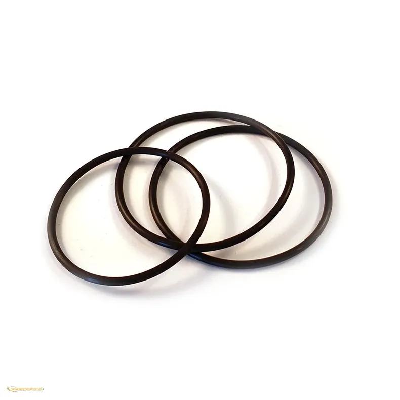 O-ringssats til filterIndstte V2 10 mikron