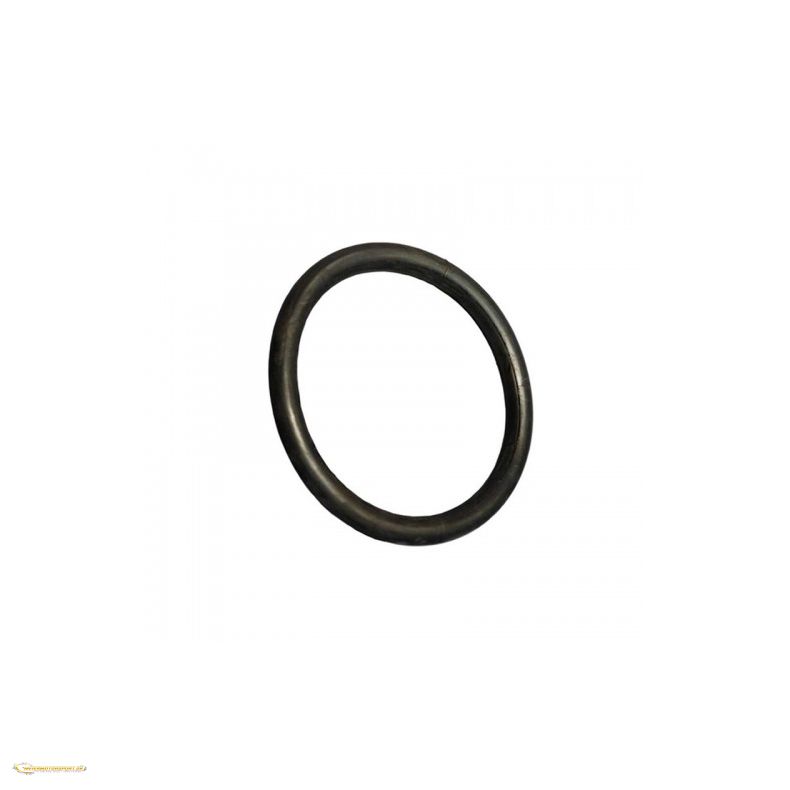 O-ring AN16
